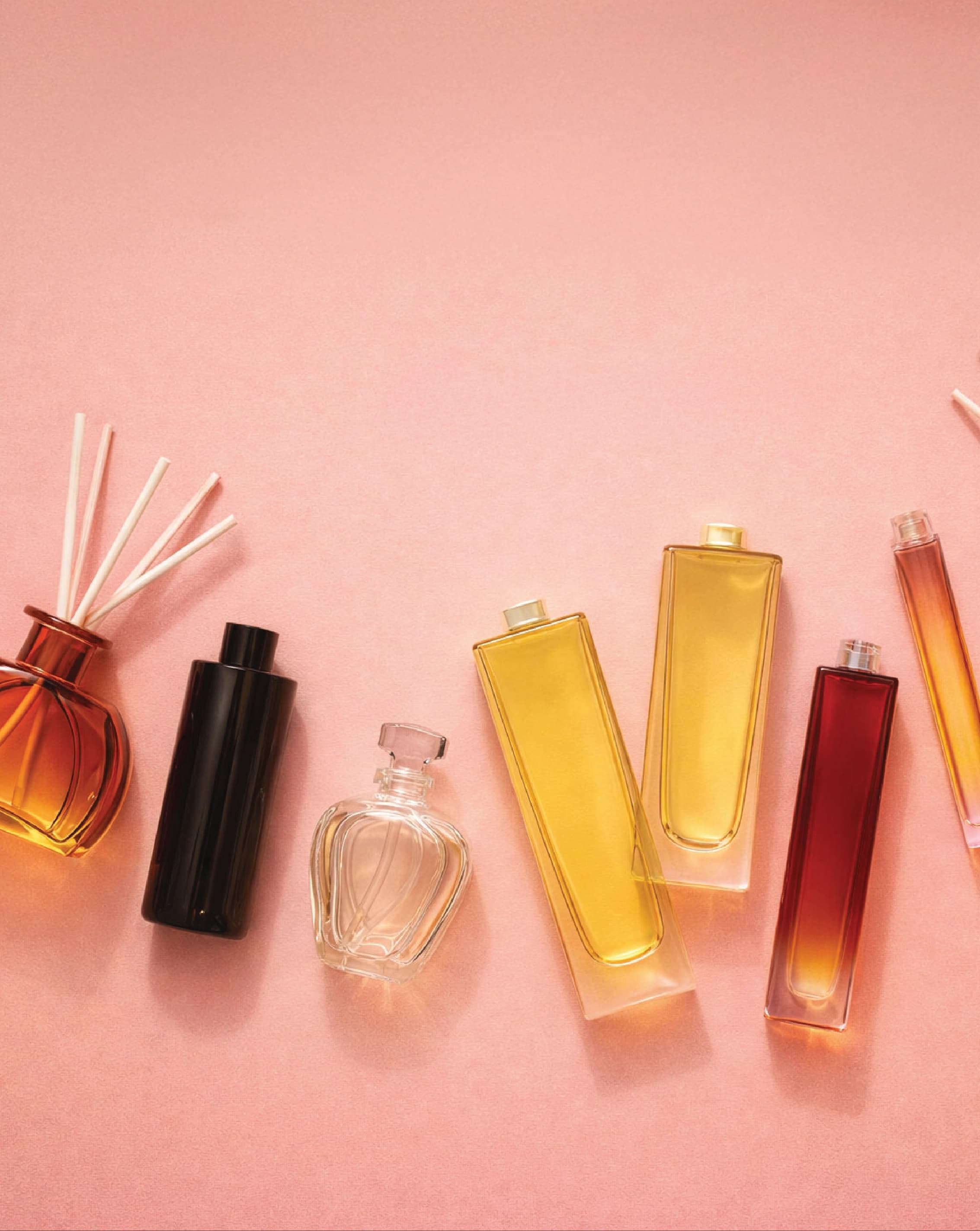 Luxury perfume bottles showcasing craftsmanship